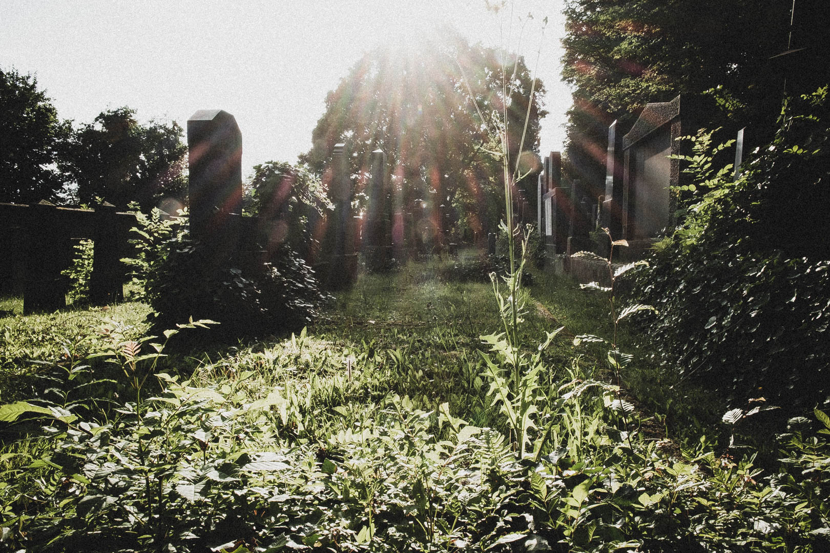 Jüdischer Friedhof Kassel-Bettenhausen